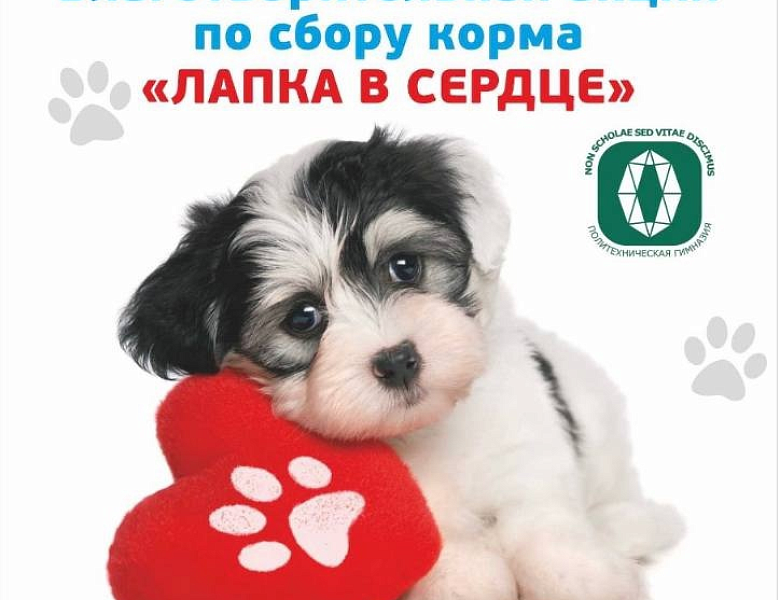Лапка в сердце